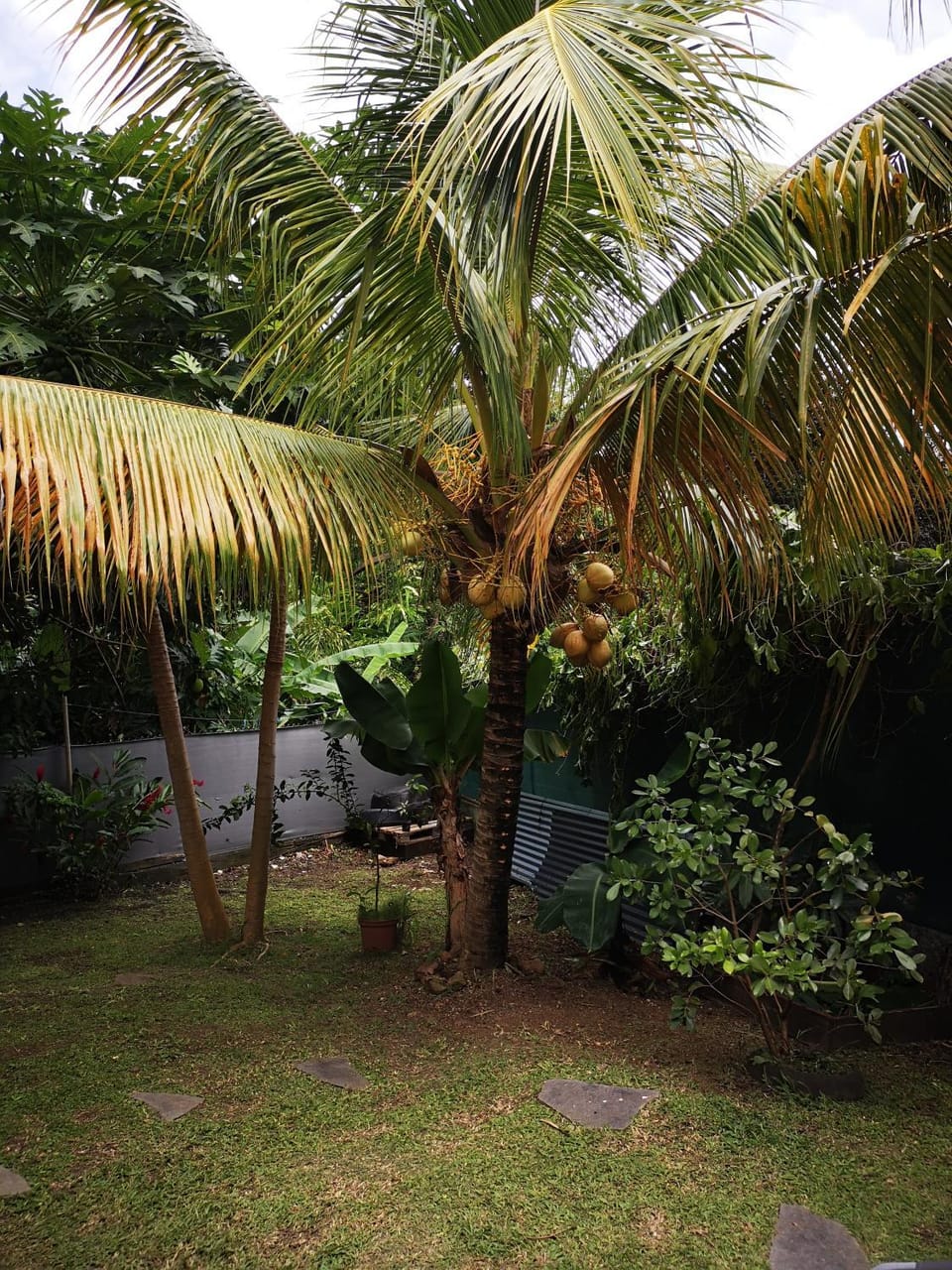 Garden view
