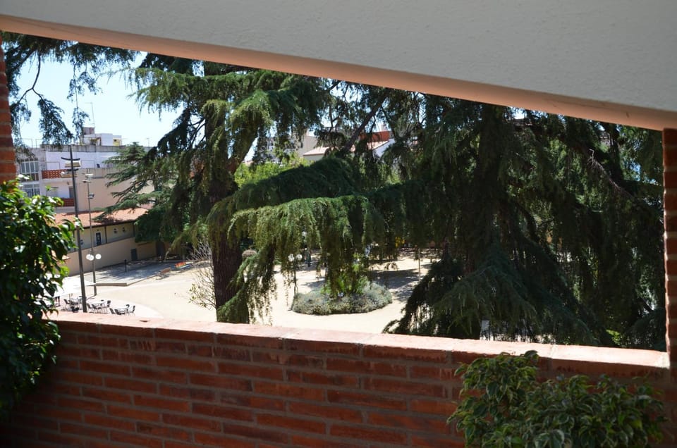 Balcony/Terrace, Garden view