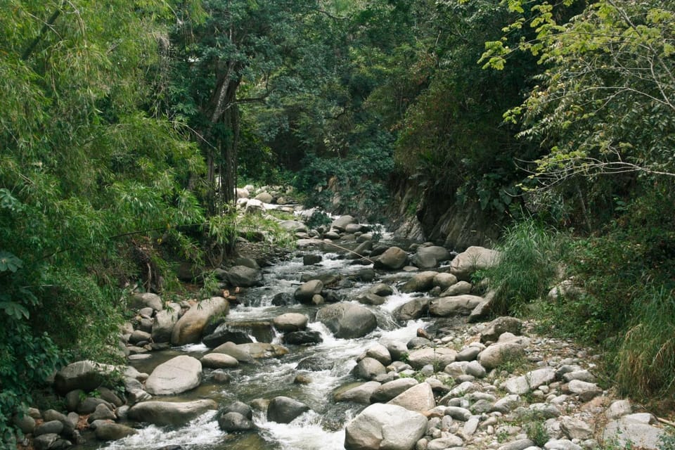 Natural landscape, River view