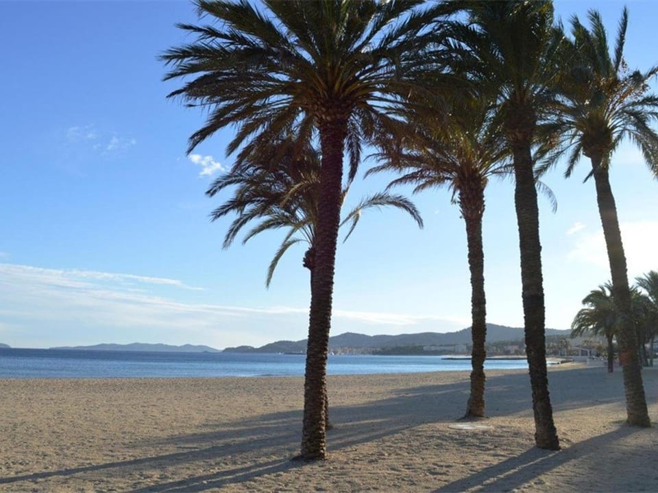 Studio climatisé avec terrasse et parking près de la plage - FR-1-251-202 Apartment in Le Lavandou