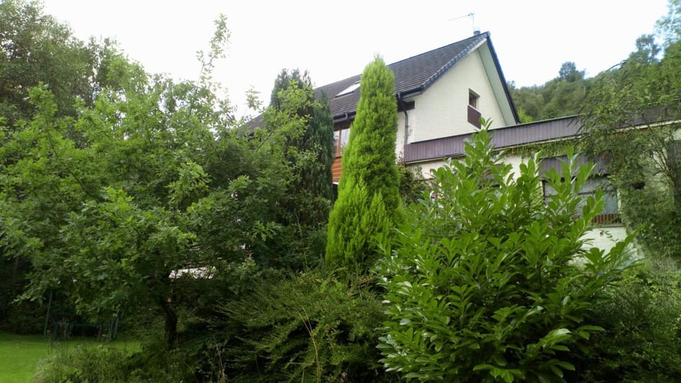 Natural landscape