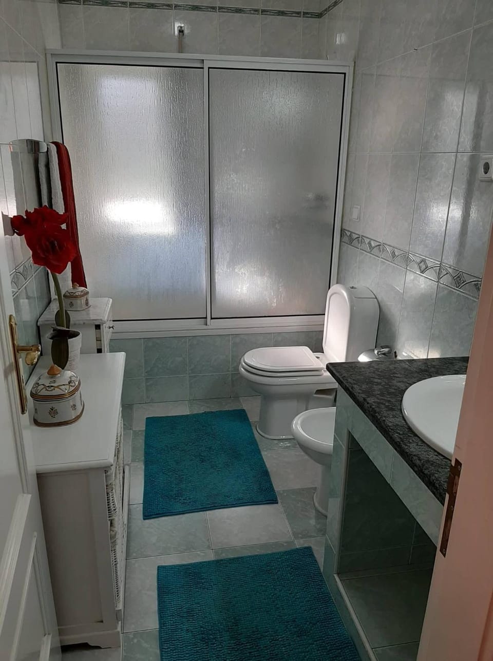Casa Júnior Apartment in Aveiro District, Portugal