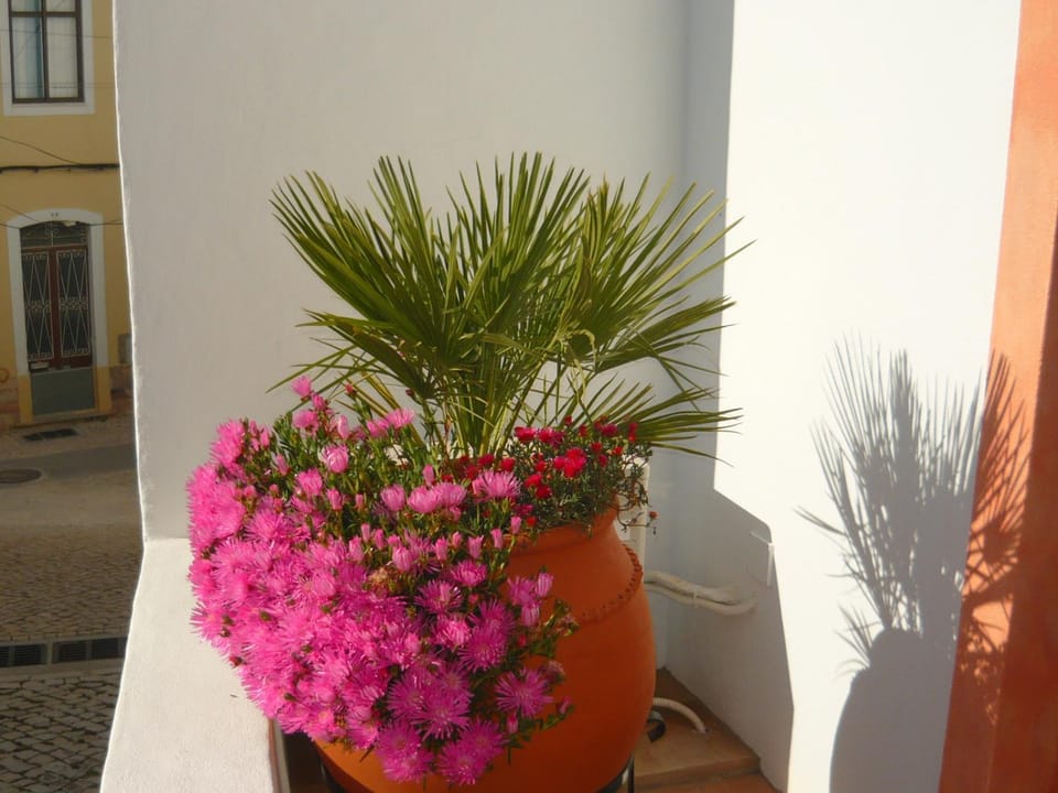 Casa do Gato House in Ferragudo