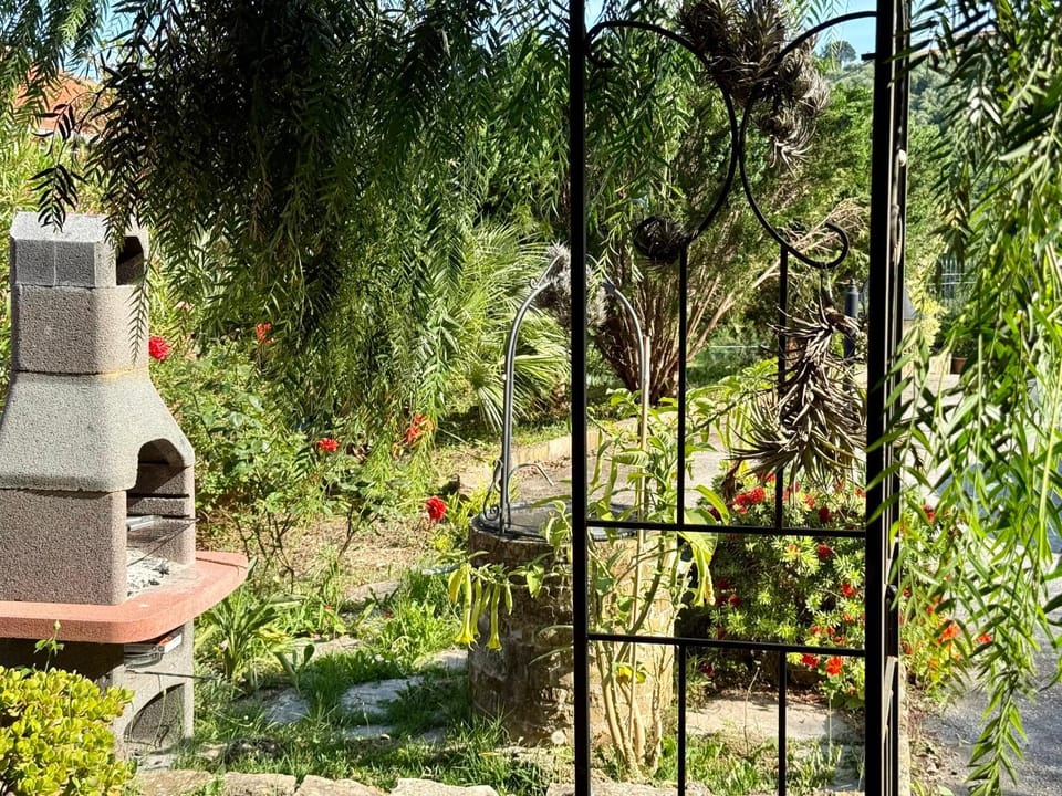 Natural landscape, Garden, Garden view