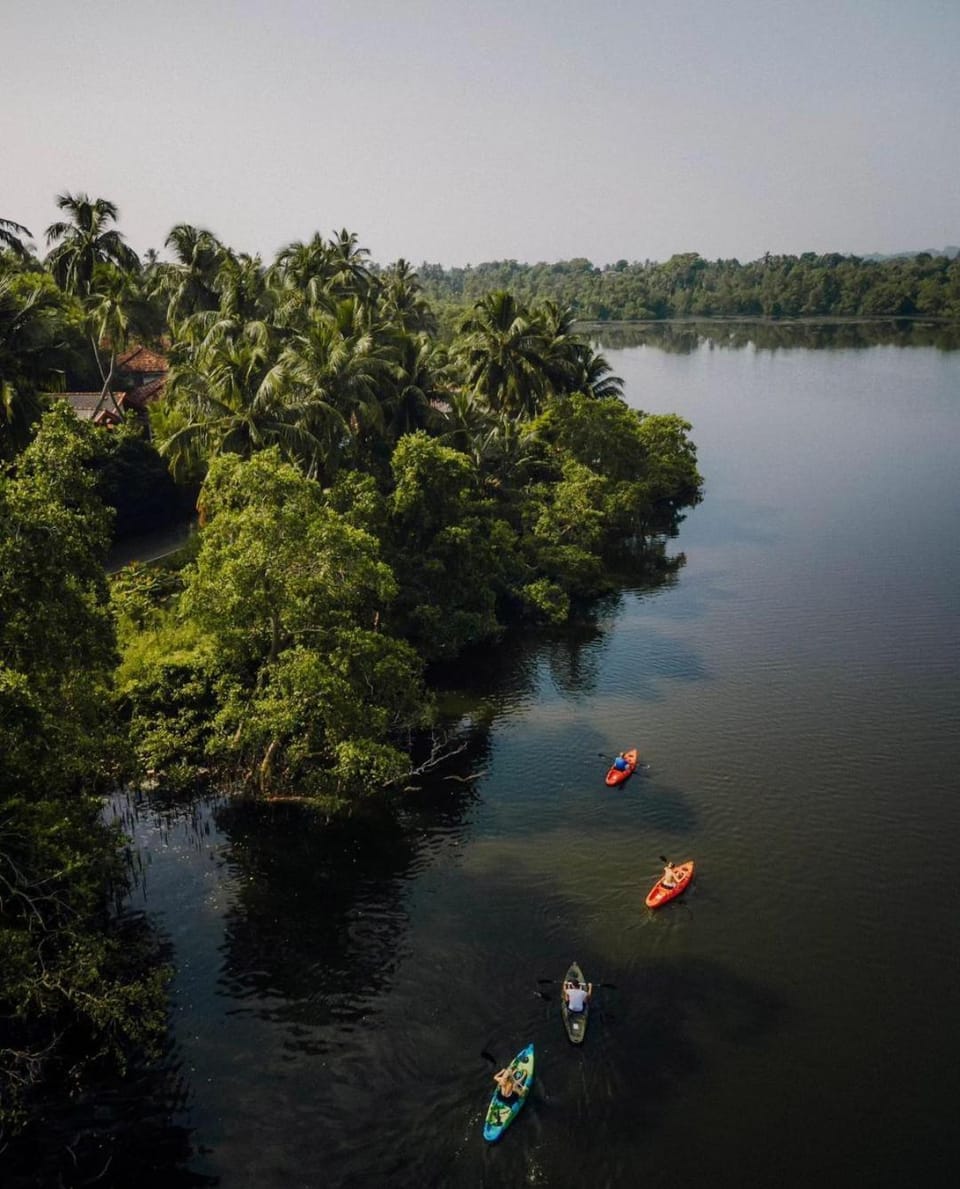 Activities, Canoeing, group of guests