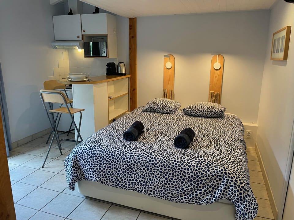 Le Petit Havre Apartment in Lacanau