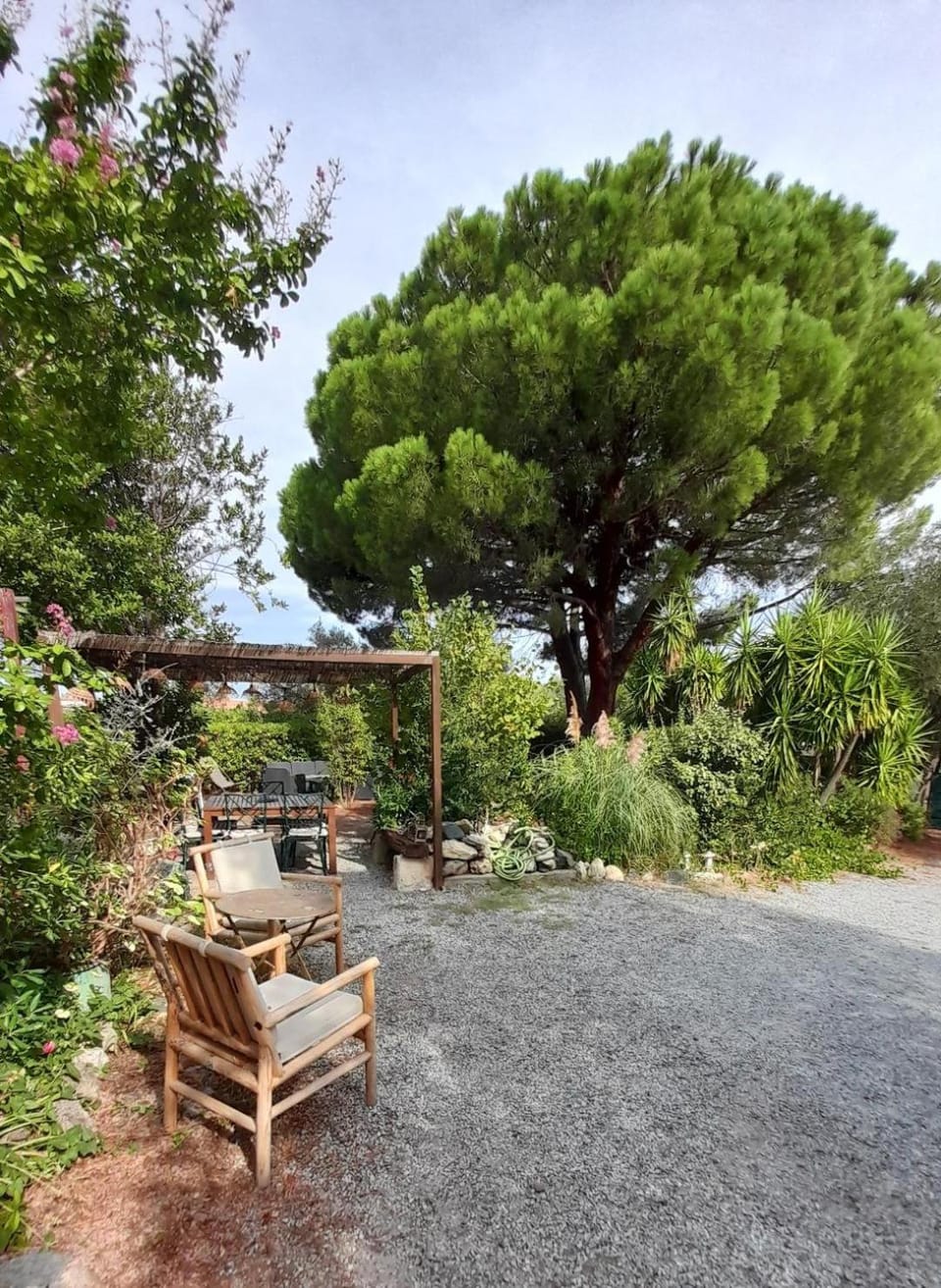 Property building, Garden, Garden, Garden view