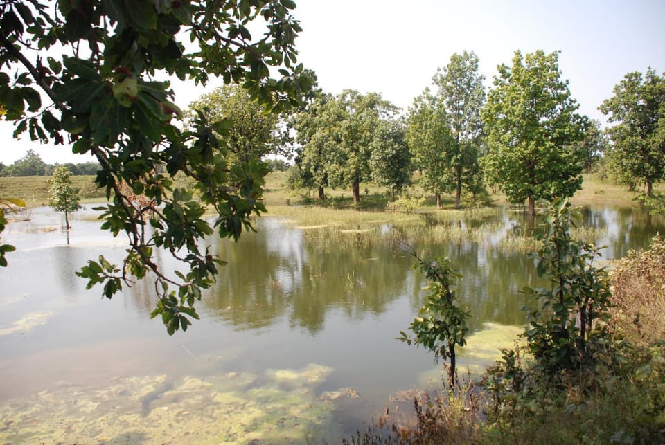 Natural landscape