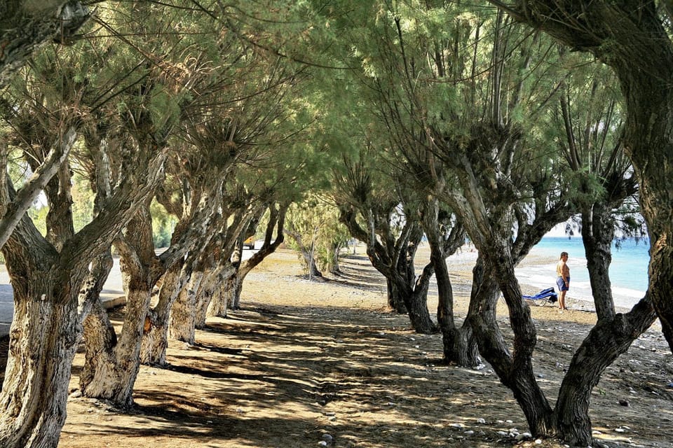 Natural landscape, Beach