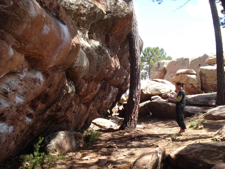 Natural landscape, group of guests