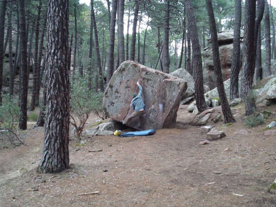 Natural landscape, group of guests