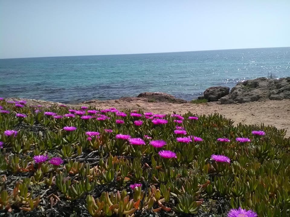 Natural landscape, Beach, Hiking, Sea view