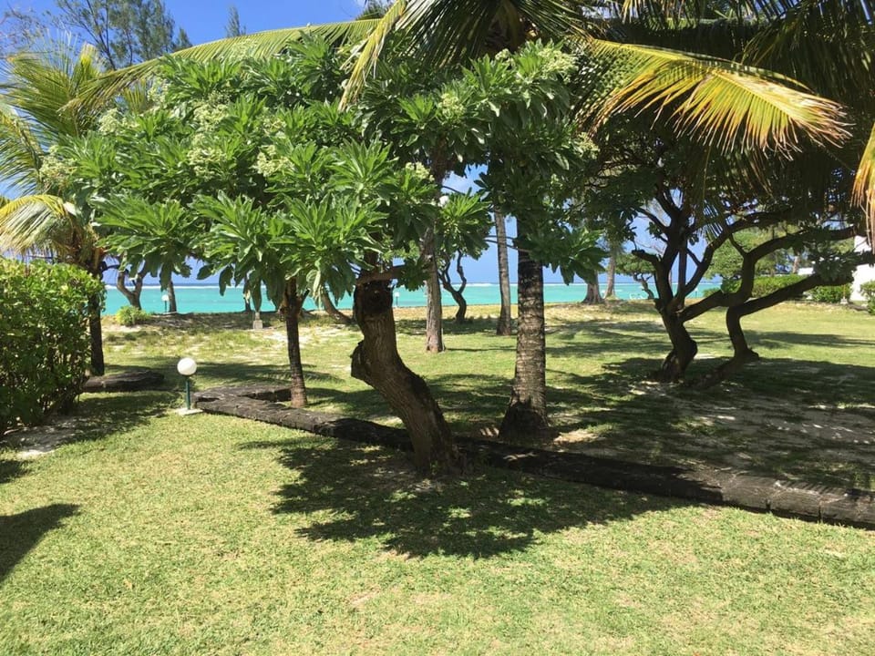 Beach, Garden view