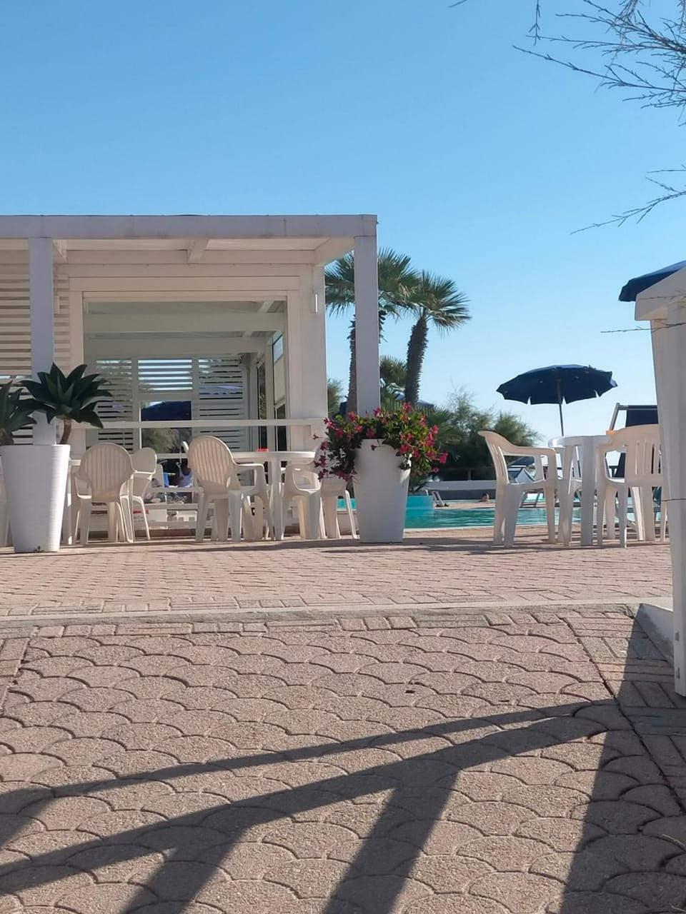 Patio, Balcony/Terrace, Lounge or bar, Swimming pool