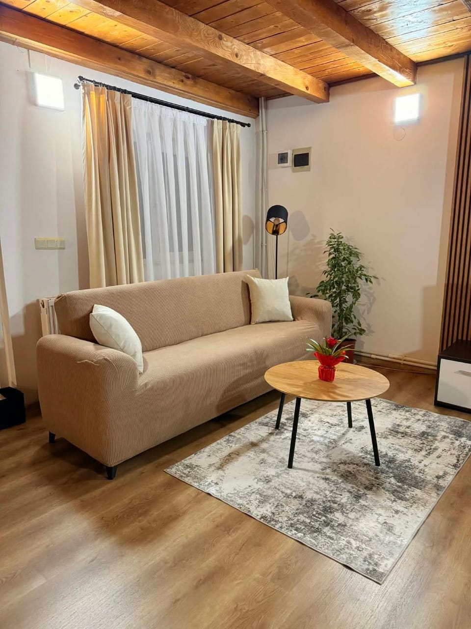 Cabana Vladimir House in Romania