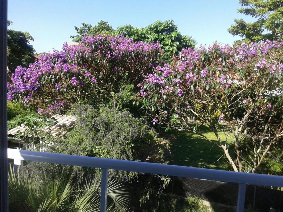 Monsal Apartamento Apartment in Florianopolis