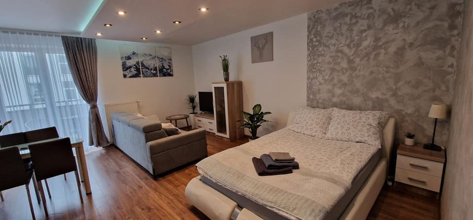 Apartament-Studio Polana Szaflarska Apartment in Lesser Poland Voivodeship