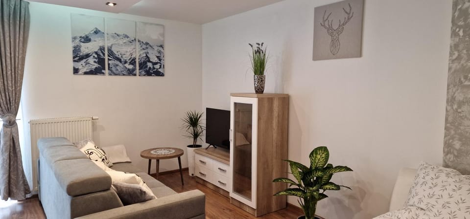 Apartament-Studio Polana Szaflarska Apartment in Lesser Poland Voivodeship