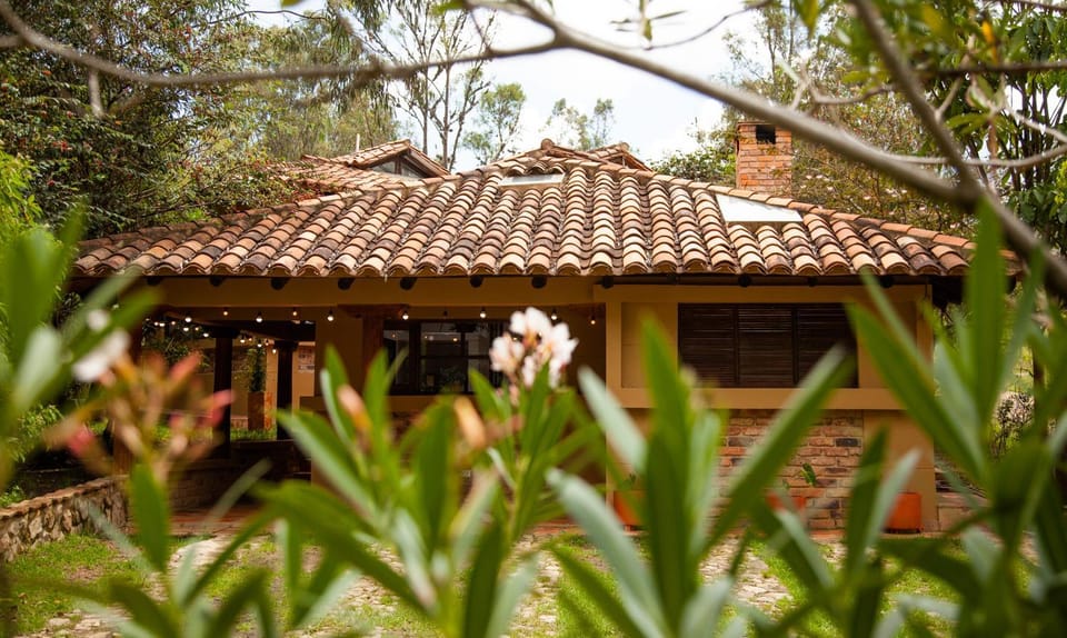 Property building, Garden, Garden view