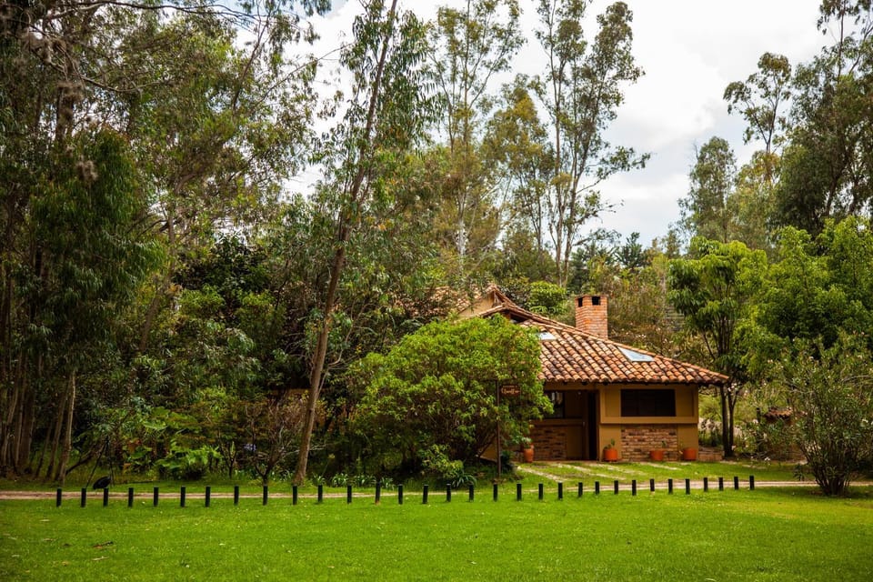 Property building, Natural landscape, Garden, Garden view