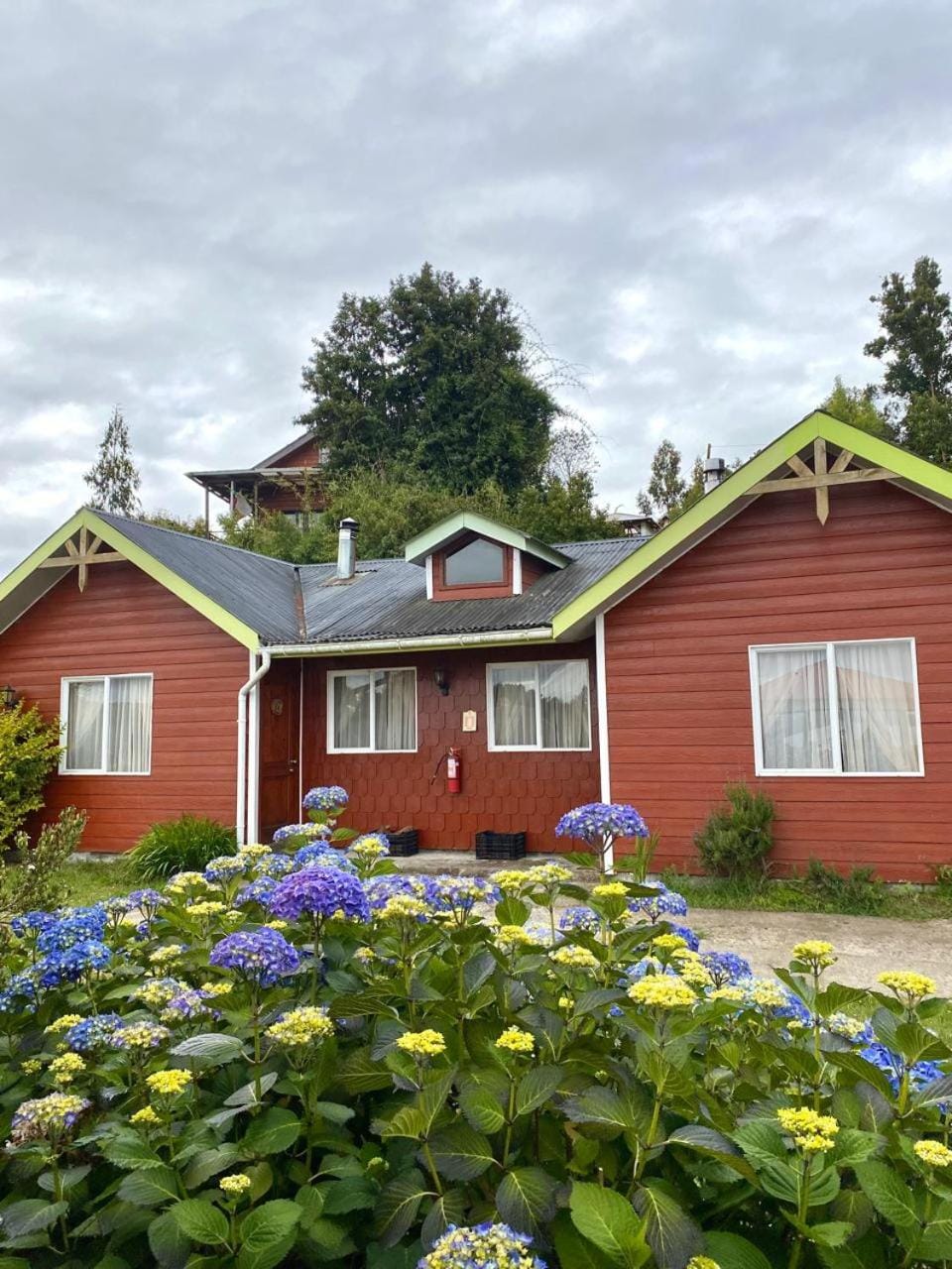 Property building, Day, Garden, Garden view