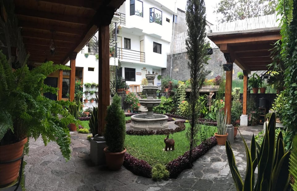 Garden view