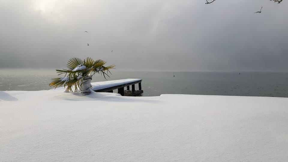 Winter, Beach