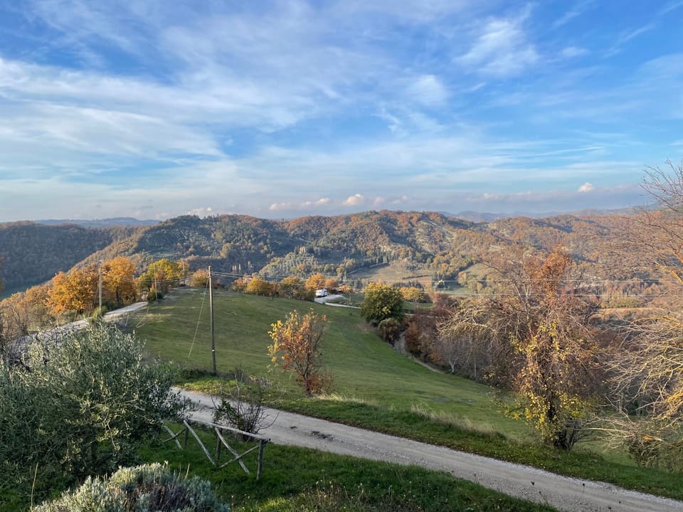 View (from property/room)