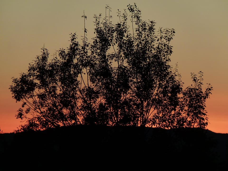 Natural landscape, Sunset