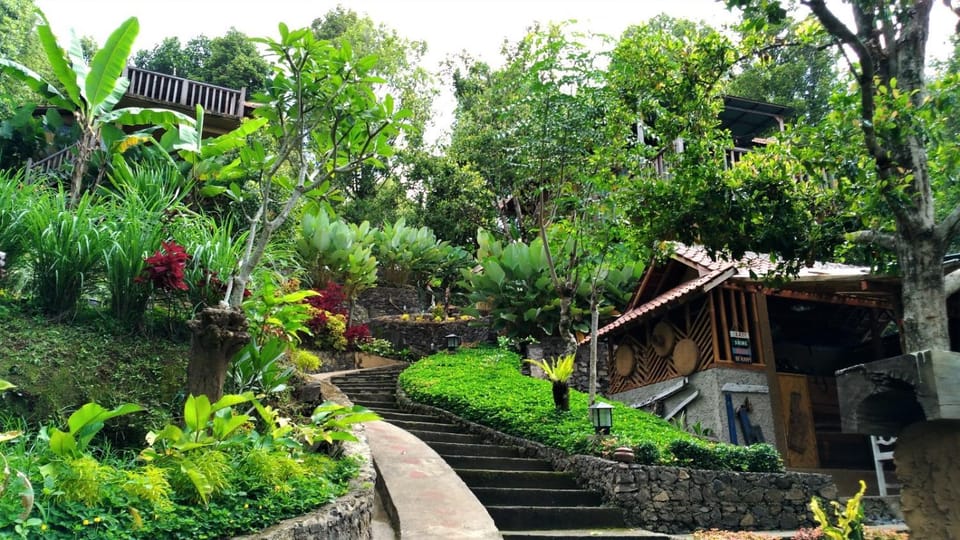 Garden, Garden view