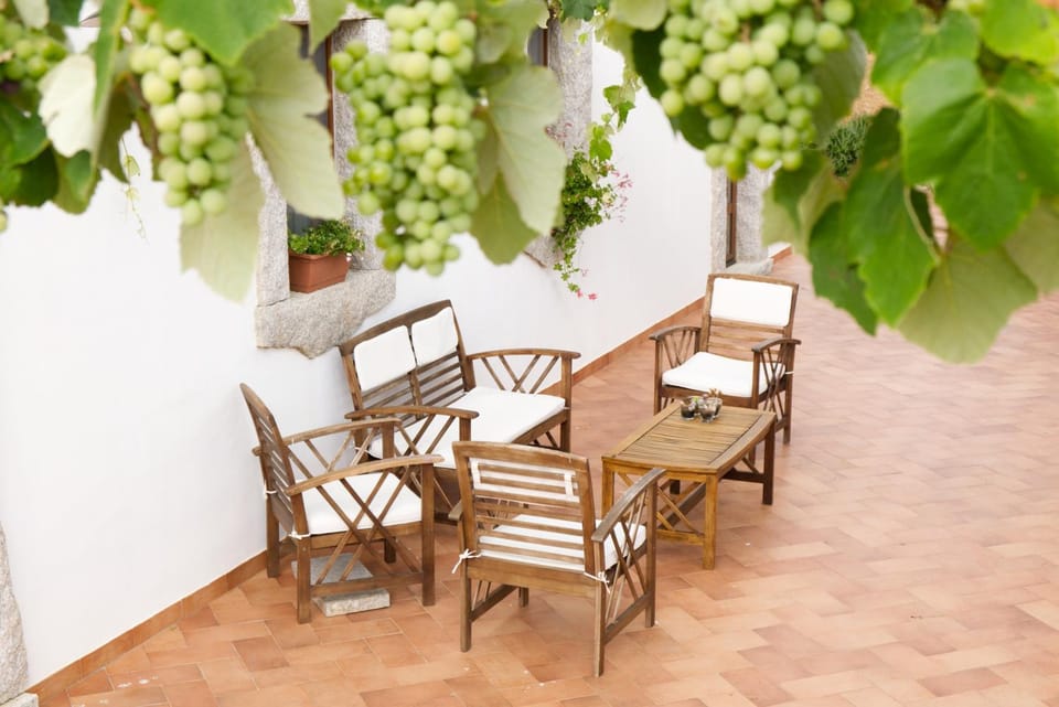 Patio, Garden, Garden view