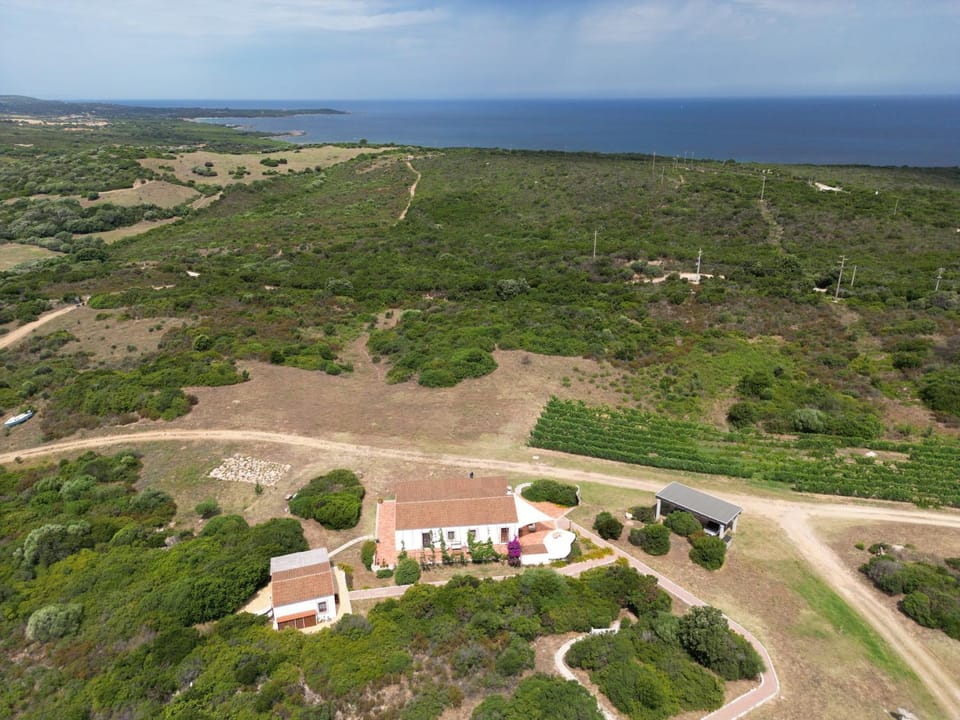 Natural landscape, Bird's eye view, Sea view