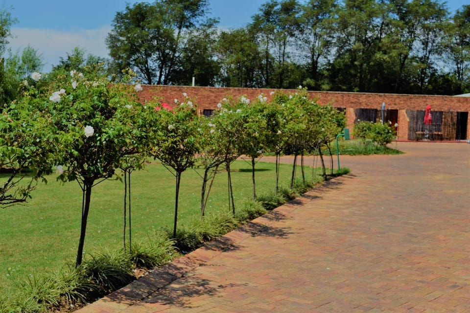 The Lazy Grape Guest Lodge & Spa Bed and Breakfast in Gauteng