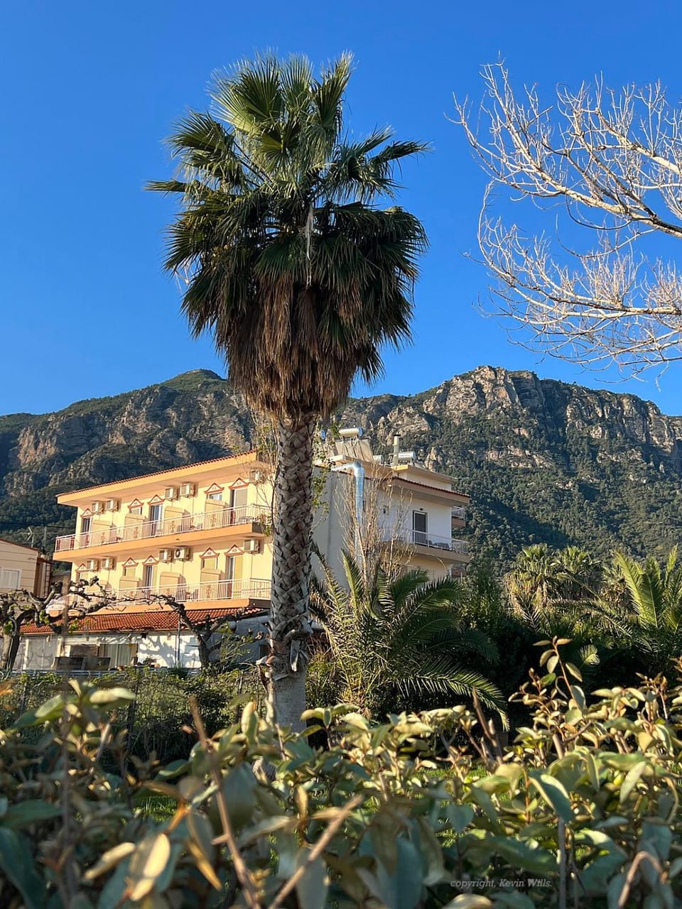 Property building, Natural landscape