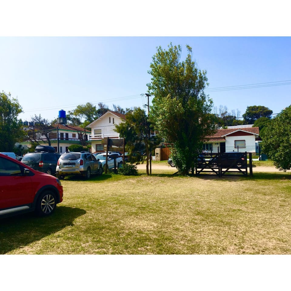 Natural landscape, Garden, Street view