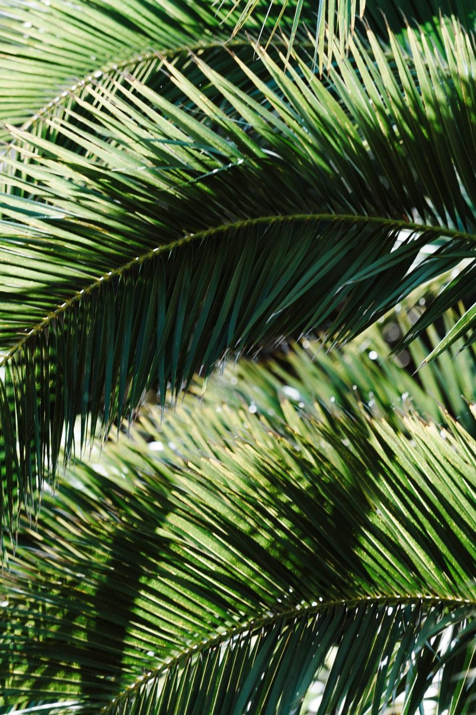 Natural landscape