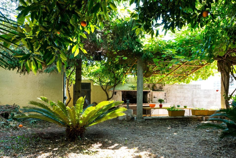 On site, Garden view