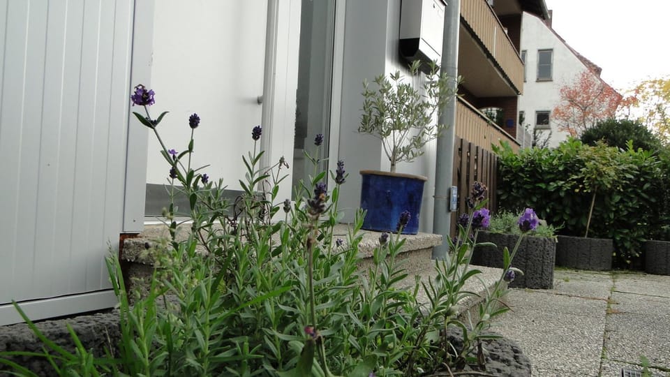 Facade/entrance, City view