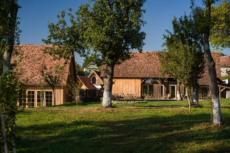 Mesendorf Gasthaus Bed and Breakfast in Brașov County