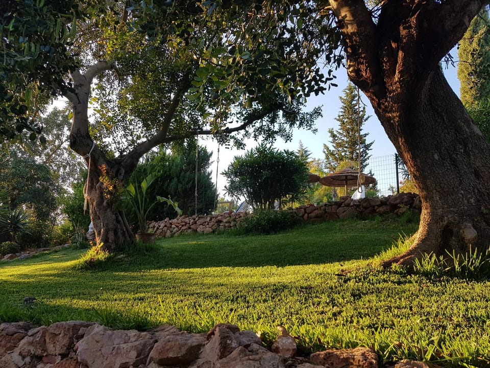 Day, Garden, Garden view