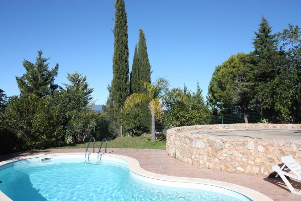 Garden, Garden view, Pool view, Swimming pool