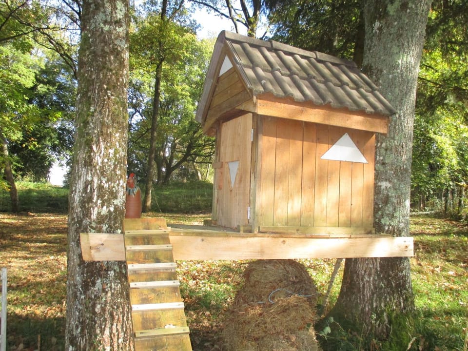 Garden, Decorative detail