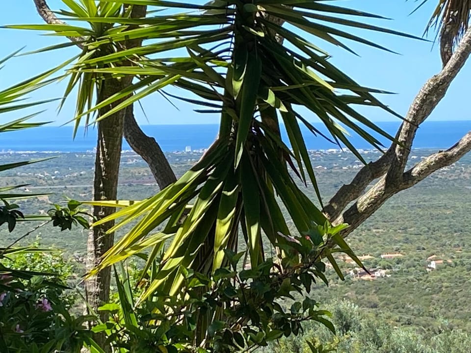 Sea view
