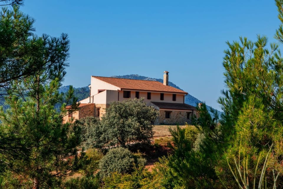 Piedra del Tesoro Country House in Riópar