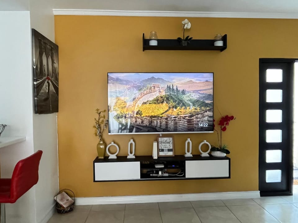 TV and multimedia