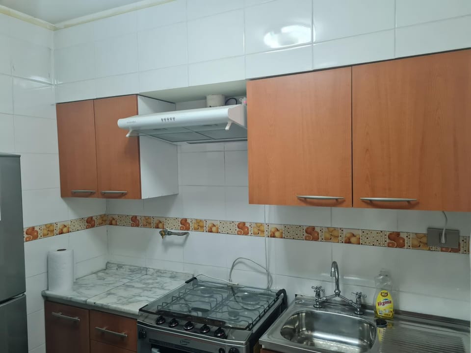 Apart Magallanes Apartment in Providencia