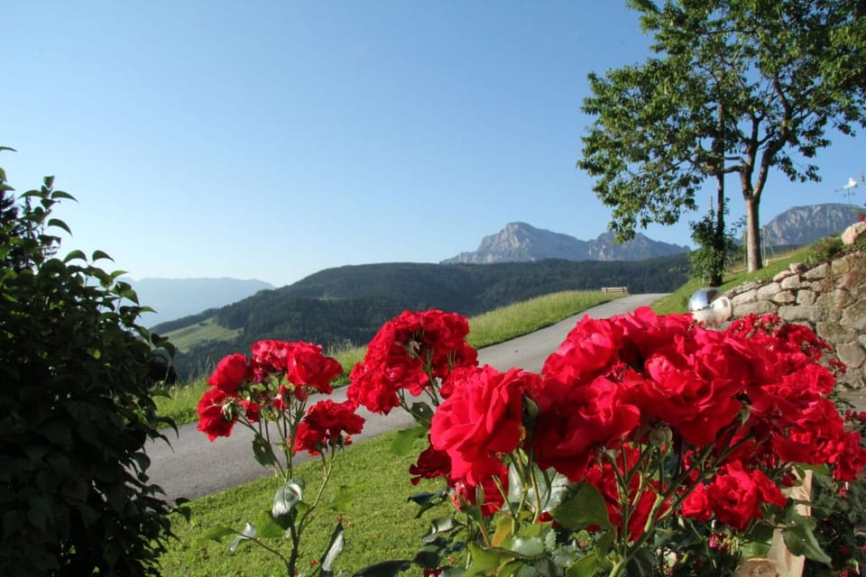 Haus Freynend Farm Stay in Berchtesgadener Land