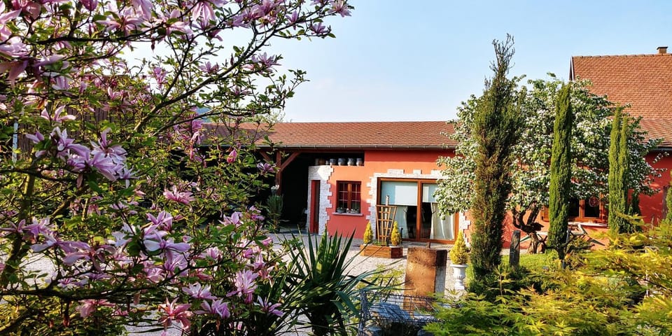 Property building, Garden, Garden view