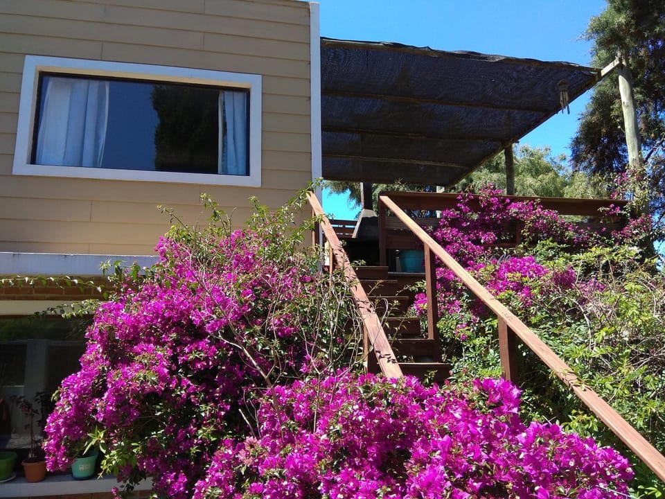 Villa Anita Spa Apartment in Maldonado Department, Uruguay