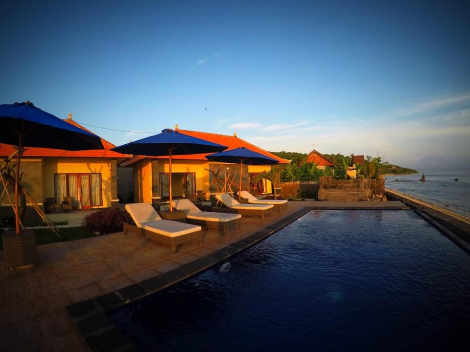 Natural landscape, Snorkeling, Beach, Diving, Pool view, Sea view, Swimming pool, Sunrise, minibar, sunbed